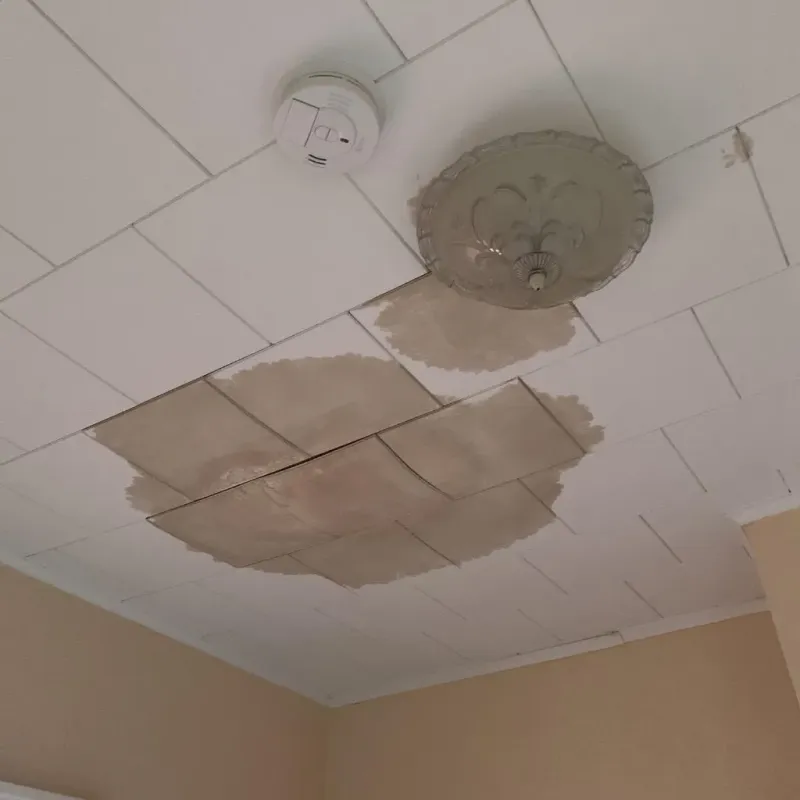 Ceiling Water Damage Repair in Trego County, KS