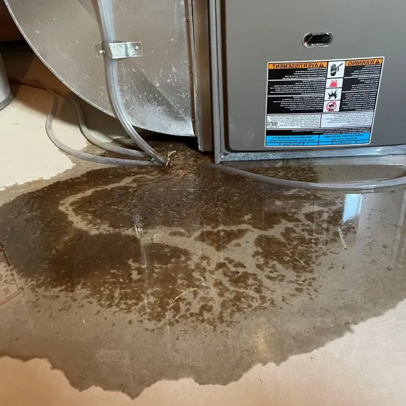 Pipe Burst and Leak Restoration in Trego County, KS