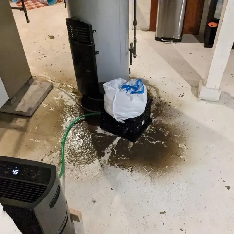 Sewage Backup Cleanup Service in Trego County, KS